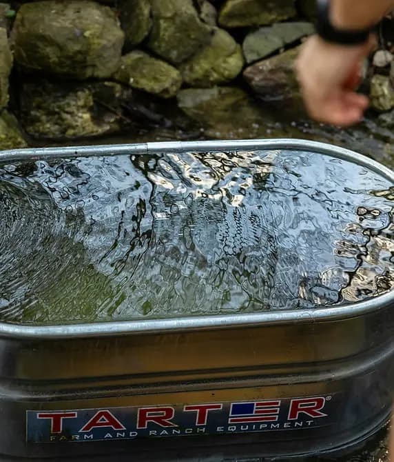 City Plunge + Coffee